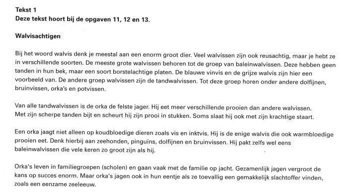tekst 1.jpg